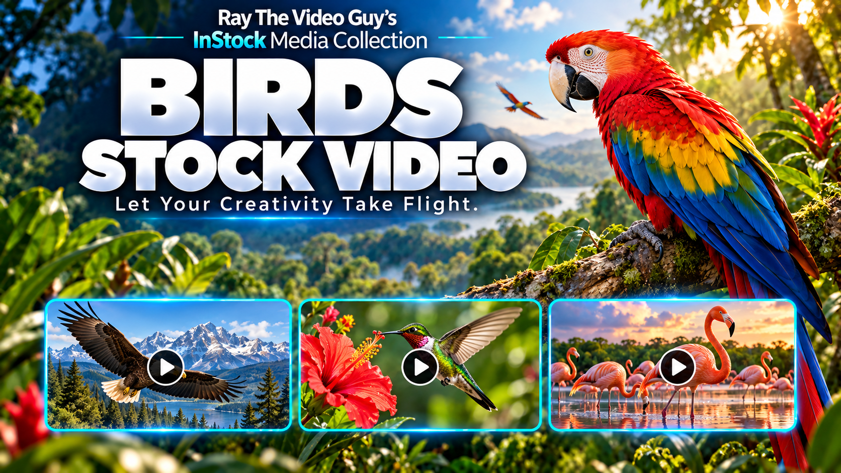 InStock Birds 4K Part 1